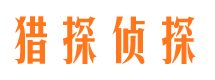 大新市侦探公司